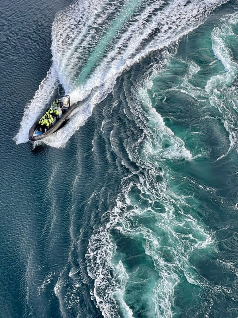 Bodø: Saltstraumen RIB Safari - The RIB ride across the Norwegian Sea