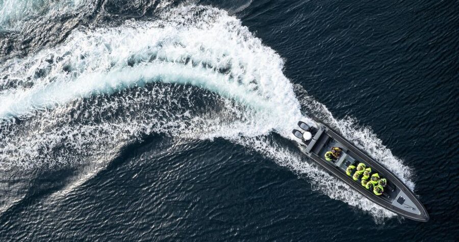 Bodø: Saltstraumen Sea Eagle Trip by RIB - Why Saltstraumen makes a strong Bodø outing