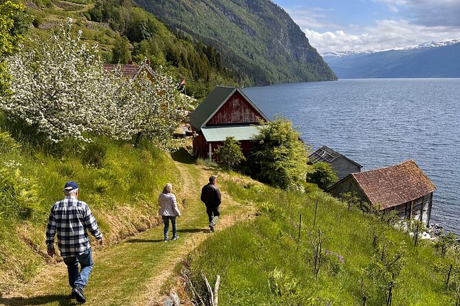 Briksdal Glacier and Loen Skylift day Excursion - What $400.27 includes