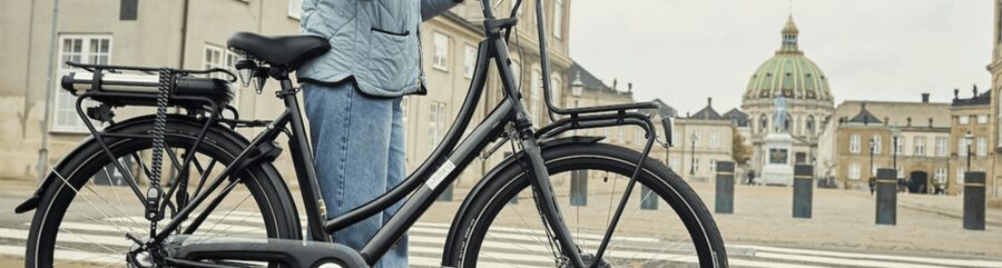 Copenhagen: 3 Hour Extended Grand E-Bike Guided Tour - Riding Copenhagen with a guide in your ear