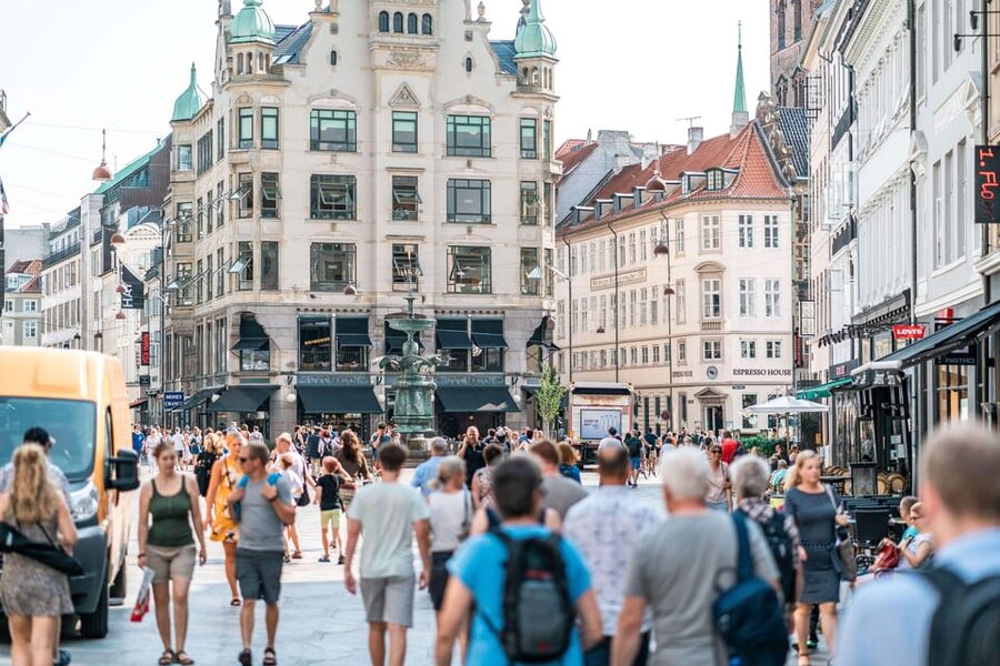 Copenhagen City & Christiansborg Palace Private Walking Tour - Is $731 a fair price?