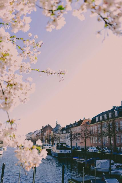 Copenhagen: Danish-Jewish History Tour - Why the 97% survival figure matters