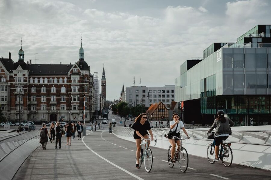 Copenhagen: Harbor Architecture Private Walking Tour - A photo stop at the Royal Library of Denmark