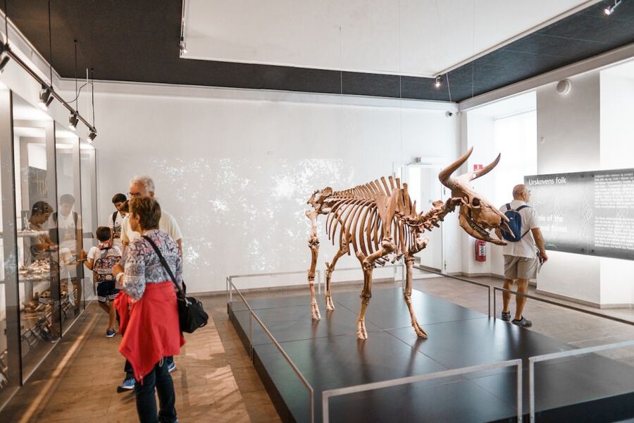 Copenhagen: National Museum of Denmark Entry Ticket - What the $21 ticket really gives you