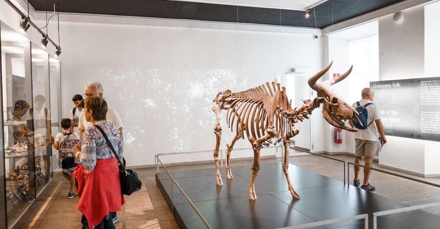 Copenhagen: National Museum of Denmark Entry Ticket - Start with Denmark’s earliest people