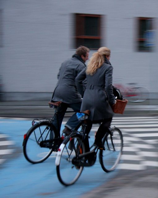 Copenhagen Private 3h biking tour - How the private format changes the experience