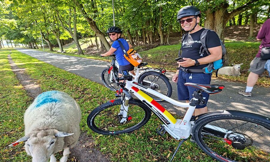 Copenhagen: Private Forgotten Giants E-Bike Treasure Hunt - Glostrup: the first stretch of open-air discovery