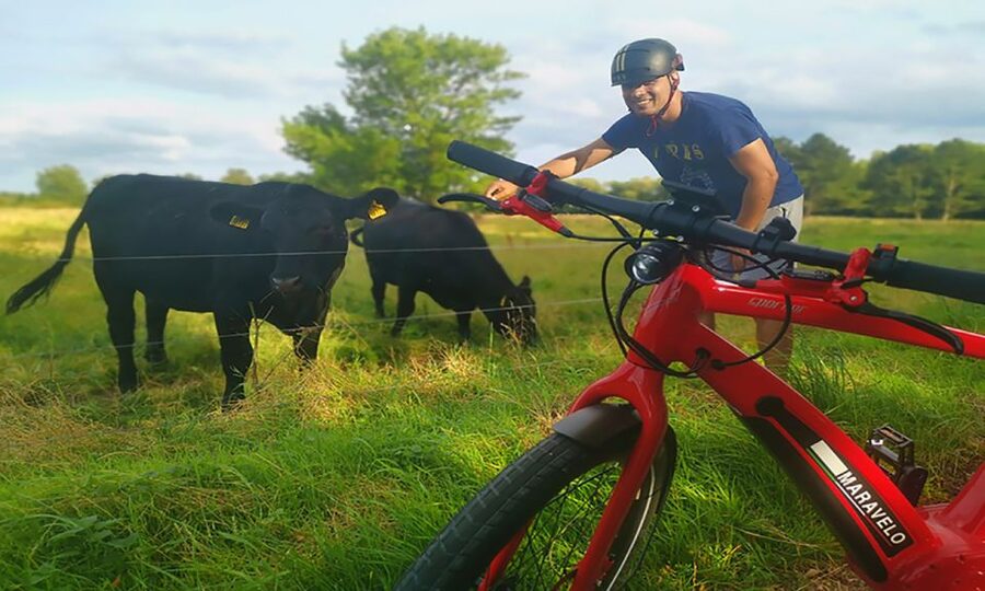 Copenhagen: Private Forgotten Giants E-Bike Treasure Hunt - Meeting Sleeping Louis, Little Tilde, Thomas on the Mountain, and Teddy Friendly