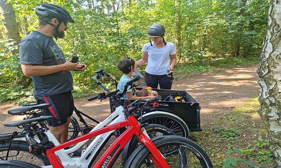 Copenhagen: Private Forgotten Giants E-Bike Treasure Hunt - Albertslund and the ride back
