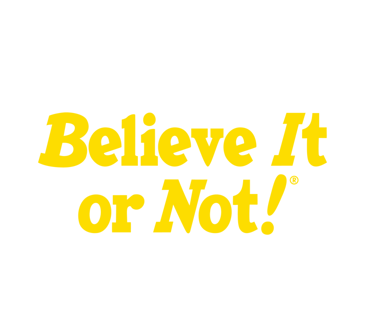 Copenhagen: Ripley's Believe It or Not! 4-Way Combo Ticket - Follow H.C. Andersen’s fairy tales