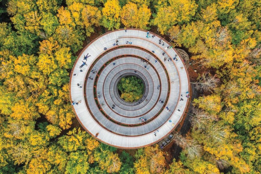 Copenhagen: The Forest Tower & Forgotten Giants Trolls Trip - Who will enjoy this outing most?