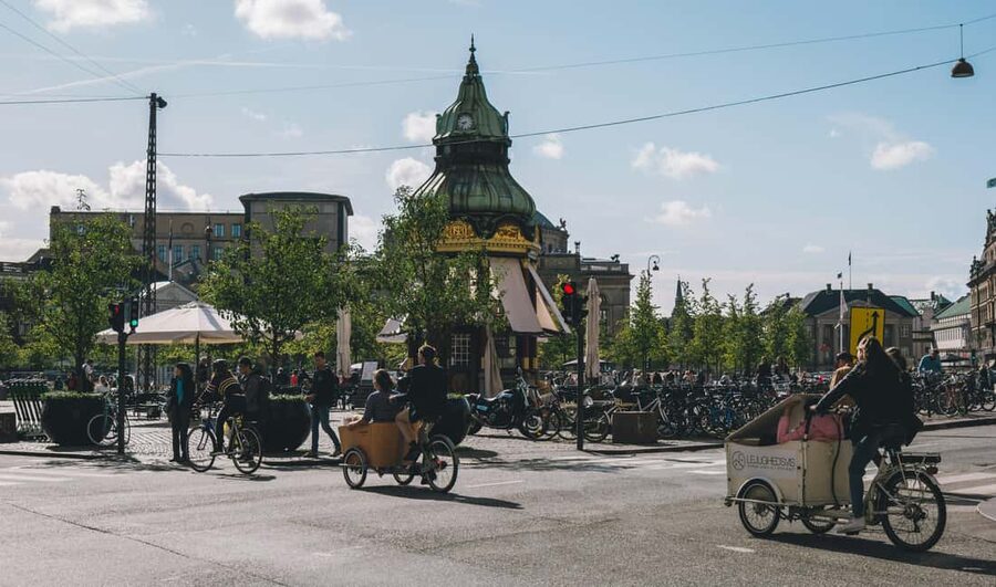 Copenhagen: Tour with Private Guide - Key points to know before booking