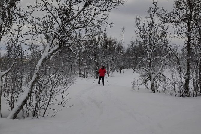 Cross-Country Ski Lesson for Beginners in Tromso - Tea, lefse, and a short Nordic pause