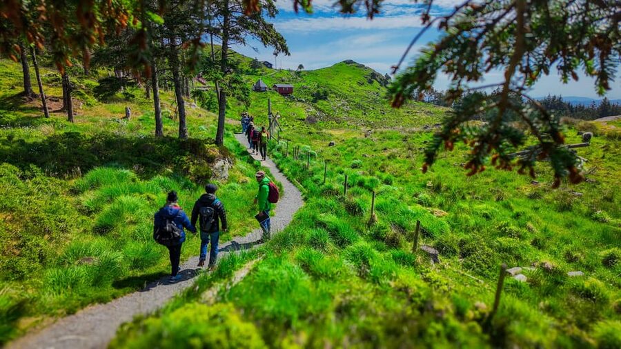 Discover Haugesund and visit a local mountain farmer - Why the mountain farm is the real reason to go