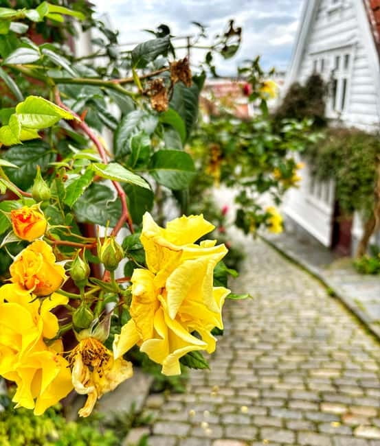 Discover Private+ Stavanger Guided City Tour - A route you can shape around your interests