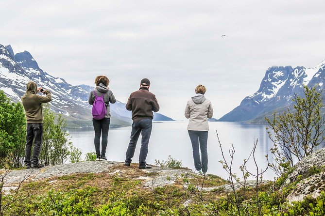 Discover the Fjords of Kvaloya - a roadtrip along fjords and fishing villages - Guides make the difference on this route