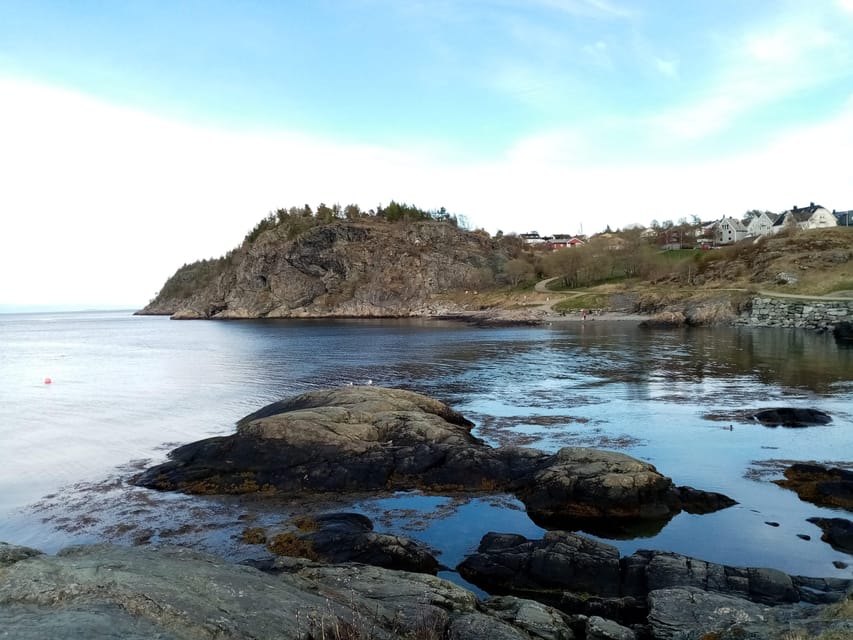 Discovery hike along the Trondheimsfjord - Key points to know before you book