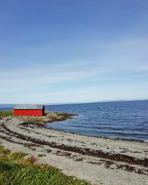 Discovery hike along the Trondheimsfjord - Korsvika and the first fjord views