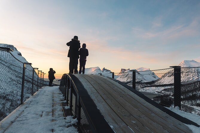 Discovery tour of the island of Senja and Kvaløya from Tromsø - Is $289.69 a fair price?