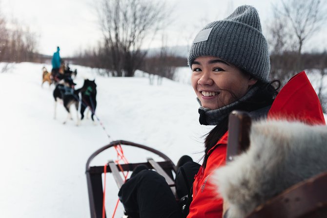 Dog Sled Tour and Husky Cuddles - The 9:00 pickup at Alta Tourist Information