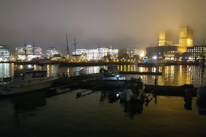 Downtown Oslo: Self-Guided Highlights and History Audio Tour - Is $9.99 good value for 40 minutes?