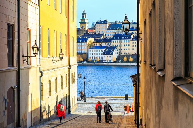 Drottningholm Palace Private Guided Tour - Who will enjoy this private palace visit?