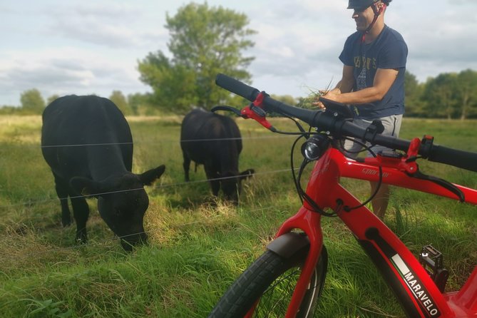 E-biking Central Forgotten Giants' s Adventure - The ride reaches well beyond downtown Copenhagen
