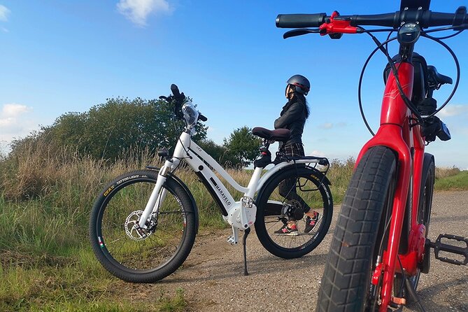 E-biking Northern Forgotten Giants' s Adventure - Four giant sculptures, one open-air treasure hunt