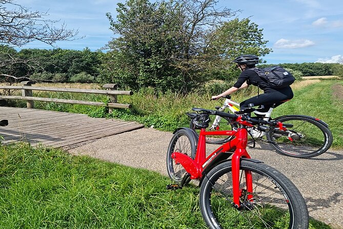 E-biking Northern Forgotten Giants' s Adventure - Teddy Friendly and the final sculpture