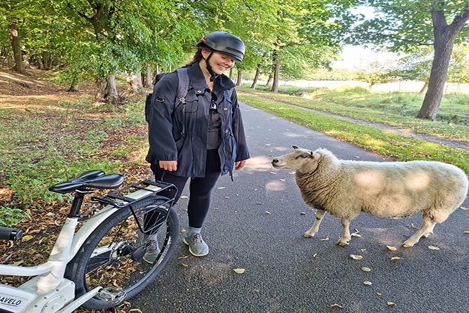 E-biking Northern Forgotten Giants' s Adventure - Who should book this ride
