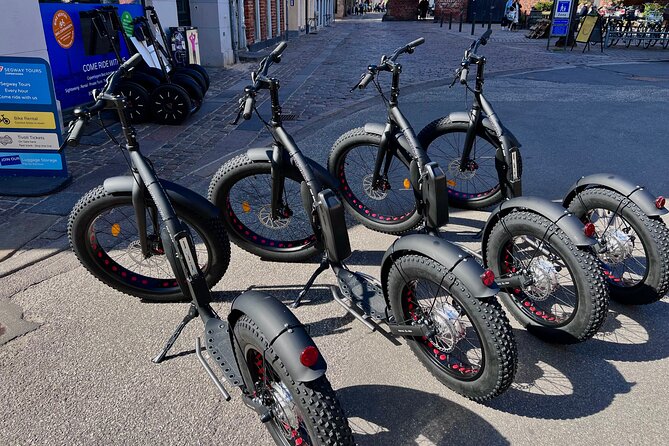 E-Scooter "Stand Up Kick Bike" 2 Hour Guided Copenhagen Tour - Why the kick bike works well in Copenhagen