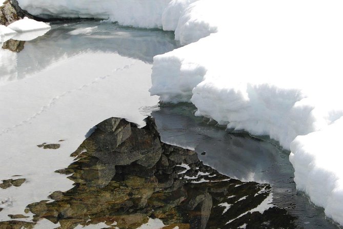 Eco friendly snowshoeing in Scenic Landscape - Telegrafbukta brings mountain views and open shore