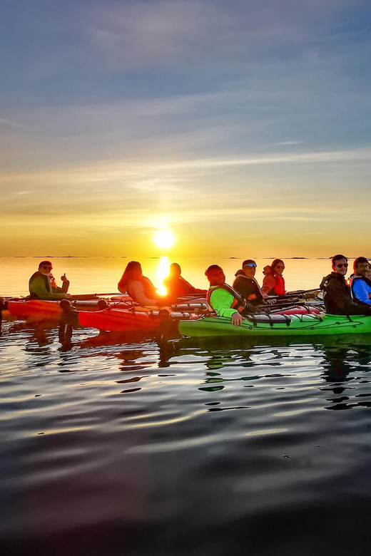 Eggum: Lofoten Islands Midnight Sun Kayak Tour - Wildlife among Eggum’s coastal waters