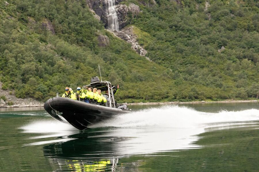 Eidfjord: 1-Hour Fjord RIB Tour - Goats, seals, birds, and possible dolphins