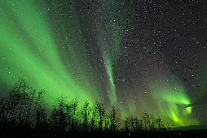 Enjoy the Aurora show on top of the mountain inc tipi dinner - Photographing you beneath the Northern Lights