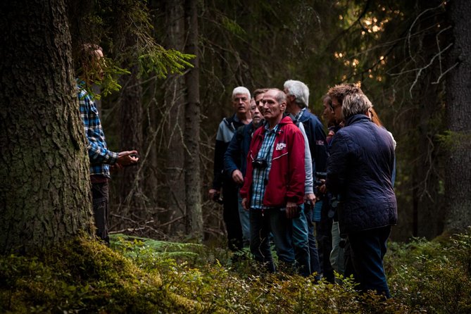 Evening Wildlife Safari Stockholm - Bergåsa Gård is the best chance for wildlife
