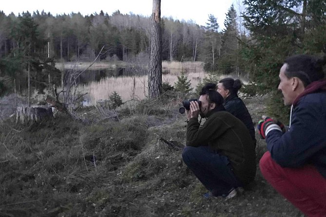 Evening Wildlife Safari with Campfire Dinner from Stockholm - Timing, weather, and what to pack