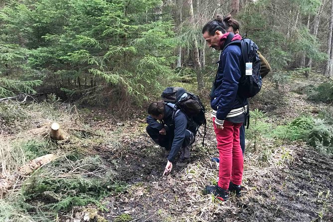 Evening Wildlife Safari with Campfire Dinner from Stockholm - A lake, Swedish fika, and dinner by the fire