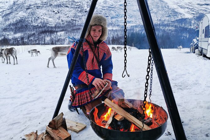 Exclusive Reindeers Experience in small groups, Tromso - From Tromsø harbor to Lavangsdalen in 30 minutes