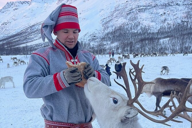 Exclusive Reindeers Experience in small groups, Tromso - What the $178 price includes in practical terms