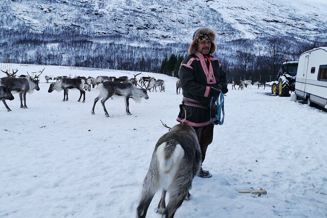 Exclusive Reindeers Experience in small groups, Tromso - Dress for a real Arctic outdoor visit