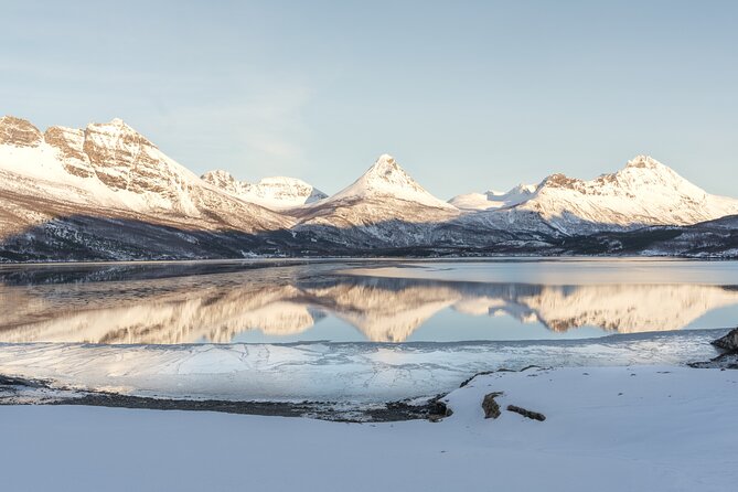 Explore the Norwegian Fjords and the Wildlife From Abisko - Key points to know before booking