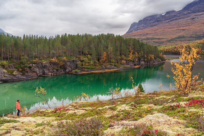 Explore the Norwegian Fjords and the Wildlife From Abisko - Who will enjoy this fjord expedition?