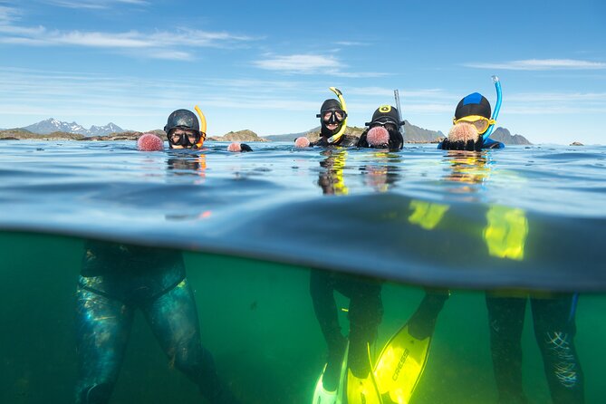 Family Snorkeling Tour - Getting into the water with no prior experience