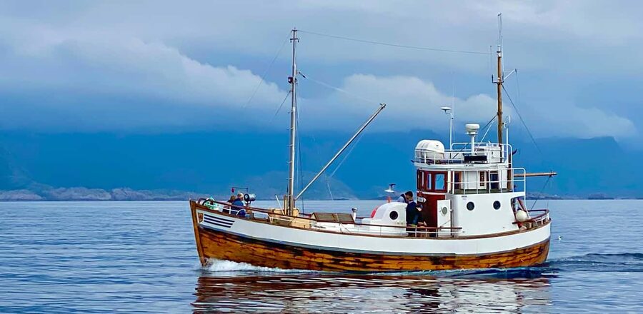 Fishing trip from Henningsvær - What beginners can expect on the water