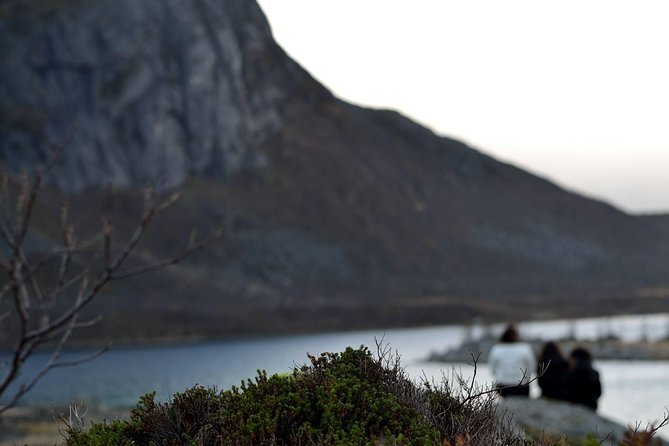 Fjord Expedition: Arctic Adventure Awaits - Clothing advice for a snowy Arctic day