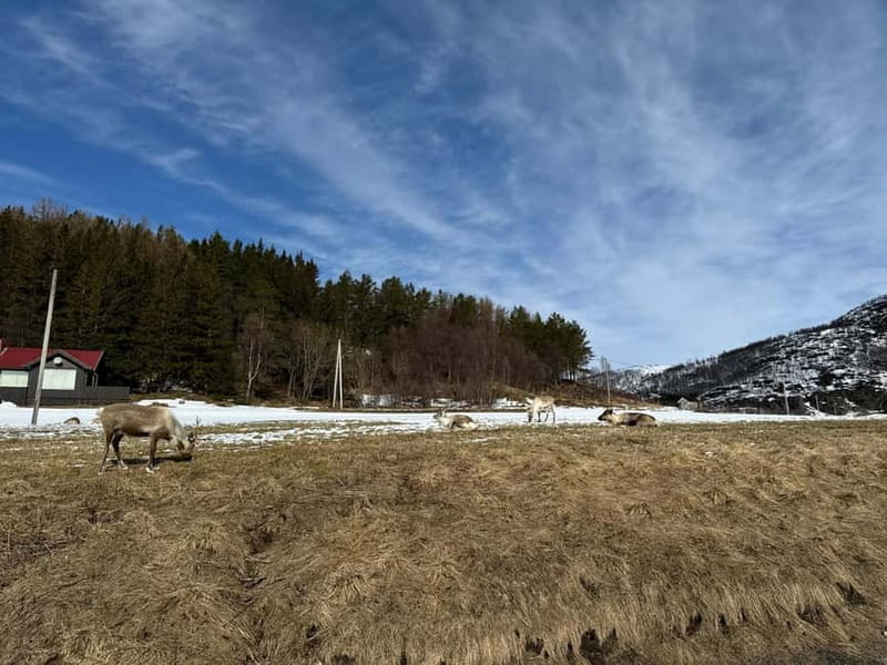 Fjord Foto Tour to Sommaroy (Roadtrip) - The road from Tromsø is the real opening act