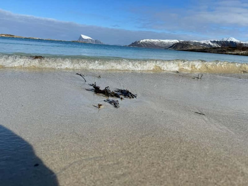 Fjord Foto Tour to Sommaroy (Roadtrip) - Is $159 good value for five hours?