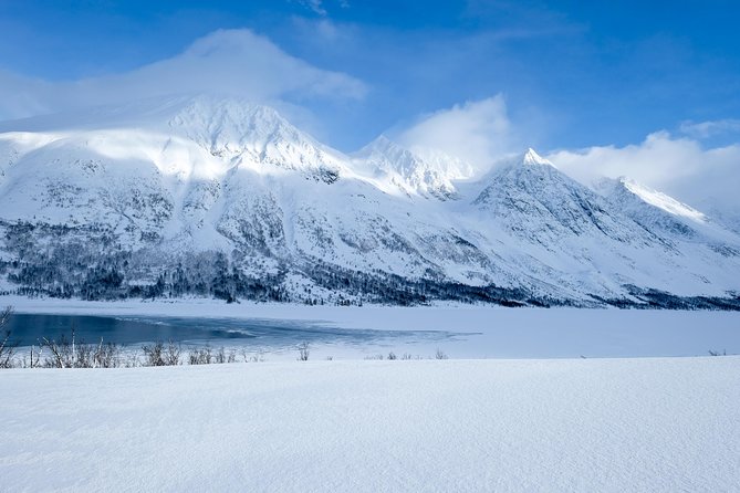 Fjord, Mountain and Wildlife Tour - Reaching Kvaløya without renting a car
