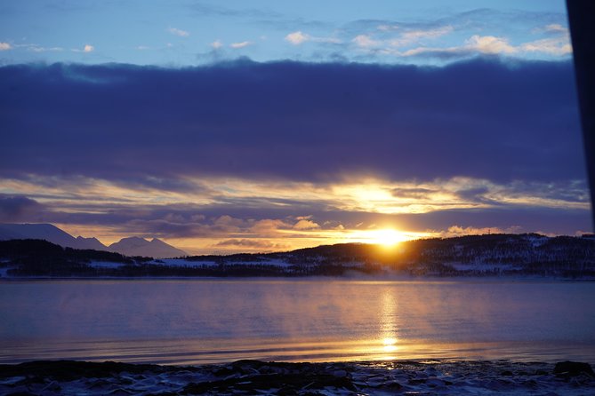 Fjord, Mountain and Wildlife Tour - Guides make a noticeable difference